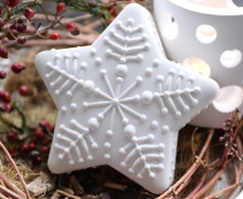 Silikon - Gießform - Winterstern - Weihnachtsstern - Stern mit Schneeflocke - Groß - vielfältig nutzbar