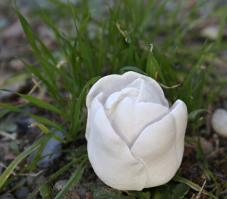 Silikon - Gießform - Tulpenblüte - Blüte - vielfältig nutzbar