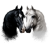 HorseFriends