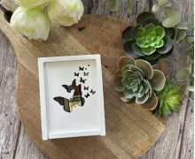 Silikon - Gießform - Kleine Geschenkdose - Schmetterlinge - Gutschein Box - vielfältig nutzbar