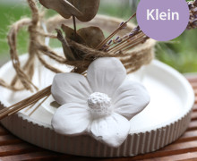 Silikon - Gießform - Dekoblüte - Frühlingsstern - Klein - vielfältig nutzbar