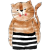Katze