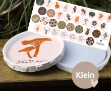 Outdoorstoff - Herbstzauber - Inlays für Silikon - Dekoteller - Tablett - Klein - Lausemia Design Studio - abby and amy
