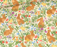 Sommersweat - Spring Dreams - Bunnies - Creme - Bio Qualität - abby and me
