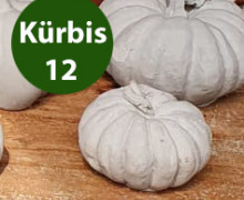 Silikon - Gießform - Kleiner Kürbis - Dekokürbis - Kürbis 12 - vielfältig nutzbar