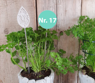 Silikon - Gießform - Blumenstecker - Anhänger - Deko - Muster - Nr. 17 - vielfältig nutzbar