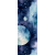 MoonExplorer