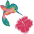 KolibriBluete