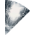 nein_Waldwolf