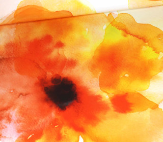 Jersey - Watercolor Poppy - Paneel - Weiß - Bio-Qualität - abby and me