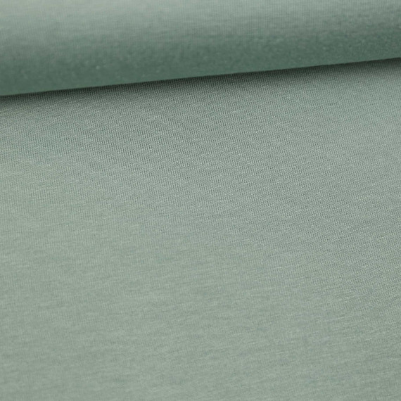 Viskose Jersey - Uni - 150cm - Lichtgrün