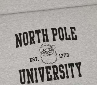 Sommersweat - North Pole University - Paneel - Grau Meliert - abby and me