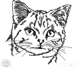 Katze im Doodle Stil, Zauberhafte Stickdatei von Stickzebra