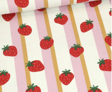 Jersey - Fruits - Erdbeeren - Offwhite