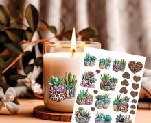 Rub-On Sticker - Kakteen - Leo - Tante Henni Rubon - vielfältig nutzbar