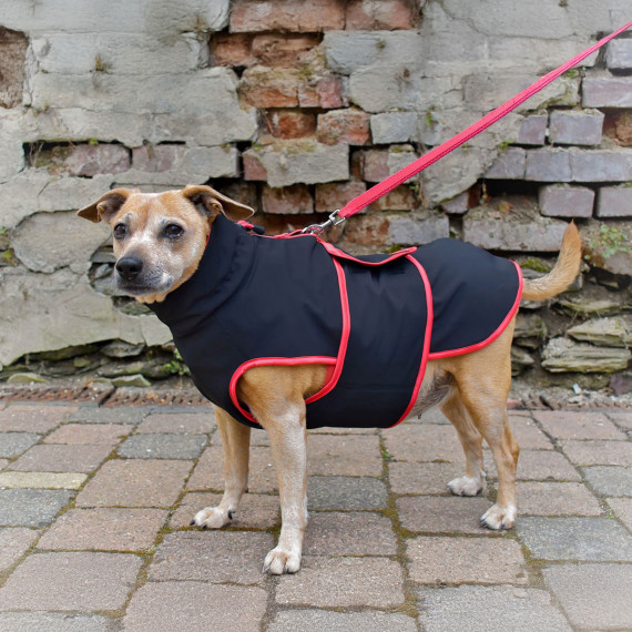 Hundejacke Alma - Schnittmuster und Nhanleitung