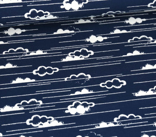 Bio Jersey - Organic Cotton - Island Breeze - Wolken & Nebel - Stahlblau/Weiß