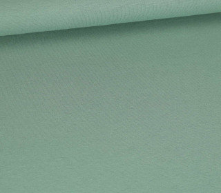 Viskose Jersey - Uni - 220g - Lichtgrün