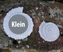 Silikon - Gießform - Ammonit - Maritim - Klein - vielfältig nutzbar