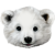 ArktischerEisbaer