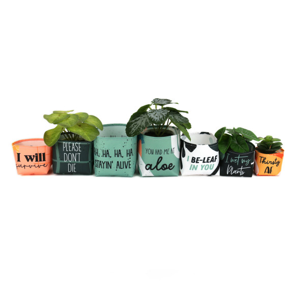 DIY-Nähset - Blumentopf - Utensilo - You had me at aloe - abby and amy