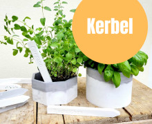 Kerbel - Silikon - Gießform - Kräuterschild - Gemüseschild - 2er Set - Wunschgeschenk