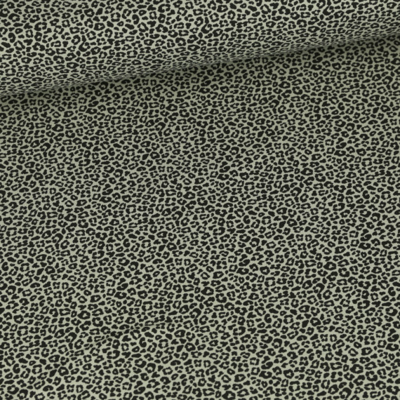 Jersey - Qjutie & the Qjutest - Mini Leo - Graugrün