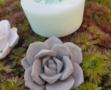 Silikon - Gießform - Kleine Blüte - Sukkulente - vielfältig nutzbar
