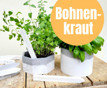 Bohnenkraut - Silikon - Gießform - Kräuterschild - Gemüseschild - 2er Set - Wunschgeschenk