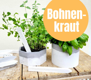 Bohnenkraut - Silikon - Gießform - Kräuterschild - Gemüseschild - 2er Set - Wunschgeschenk