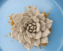 Silikon - Gießform - Lotusblume - Blüte - aufgeblüht - vielfältig nutzbar