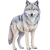 Winterwolf