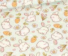 Sommersweat - Carrot Kisses - Mint - Bio Qualität - abby and me