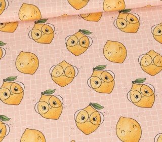 Sommersweat - Zitronlein - Karo - Beigerosa - Bio Qualität - abby and me