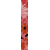 FrauOrangeRosa