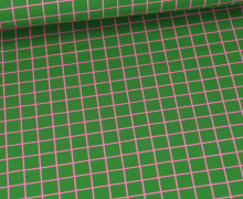 Bio-Sommersweat - French Terry - Grids - Beetles & Bugs - Grün/Rosa - Hamburger Liebe