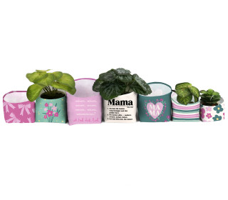 DIY-Nähset - Blumentopf - Utensilo - Mama - die Beste - abby and amy
