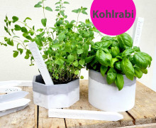 Silikon - Gießform - Kräuterschild - Gemüseschild - 2er Set - Kohlrabi - vielfältig nutzbar