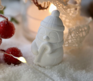 Silikon - Gießform - Weihnachtspinguin - mit Zuckerstange - Mini - vielfältig nutzbar