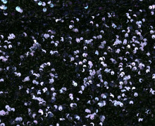 Paillettenstoff - Schimmernd - Glamour - Uni - Dunkelblau