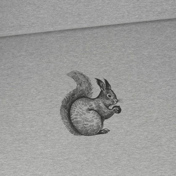 Sommersweat - Waldtiere - Eichhörnchen - Paneel - Grau Meliert - abby and me