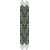 Eukalyptus01