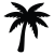 Palmeµa0001-palme.png