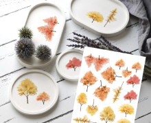 Rub-On Sticker - Herbstbäume - Tante Henni Rub-Ons - vielfältig nutzbar