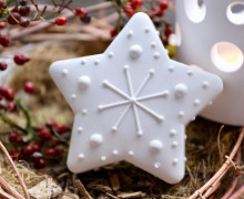 Silikon - Gießform - Winterstern - Weihnachtsstern - Stern mit Schneeflocke - Klein - vielfältig nutzbar