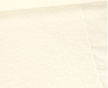 Baumwolle Webware - Brodery - Blumenstickerei - Bogenkante - Warmweiß