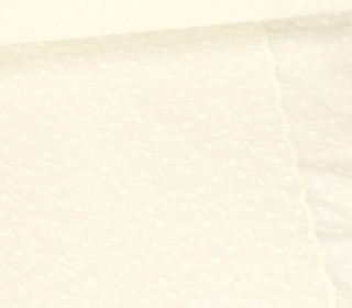 Baumwolle Webware - Brodery - Blumenstickerei - Bogenkante - Warmweiß
