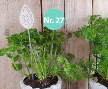 Silikon - Gießform - Blumenstecker - Anhänger - Deko - Muster - Nr. 27 - vielfältig nutzbar