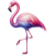FlamingoPinkOrange