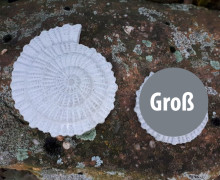 Silikon - Gießform - Ammonit - Maritim - Groß - vielfältig nutzbar